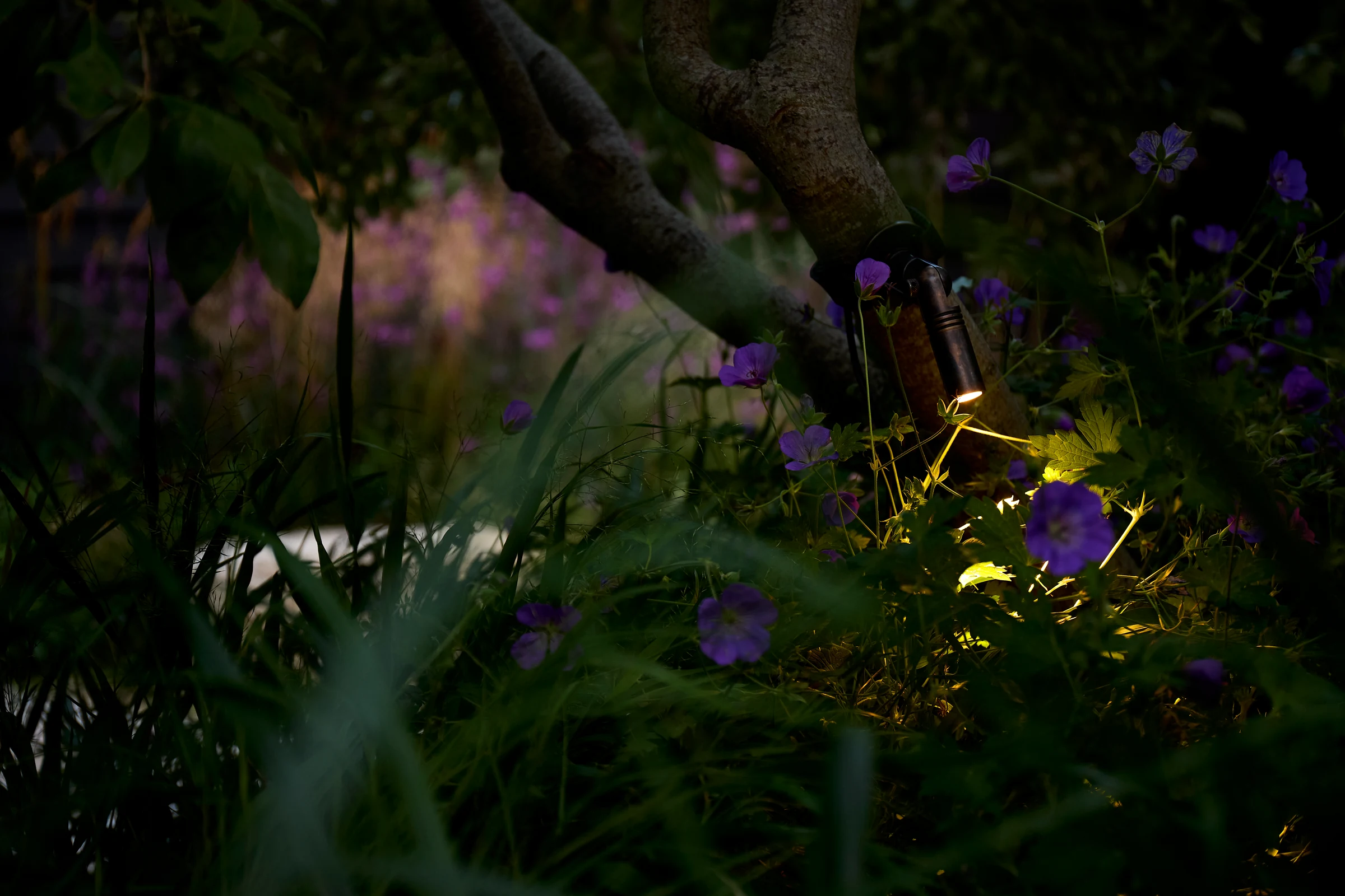 Trees lighting example