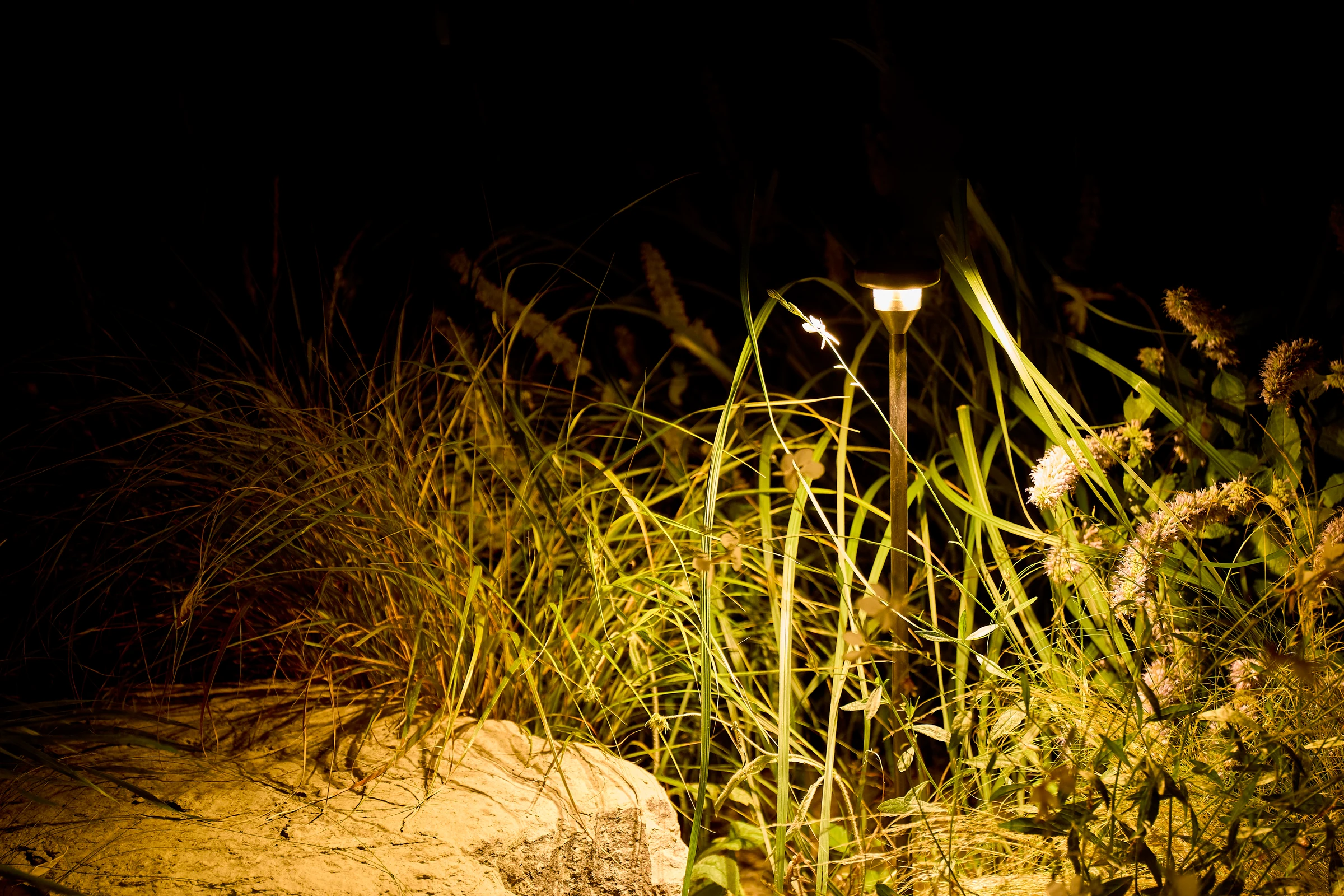 Planting & softscapes lighting example